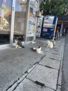 石垣島街歩き
